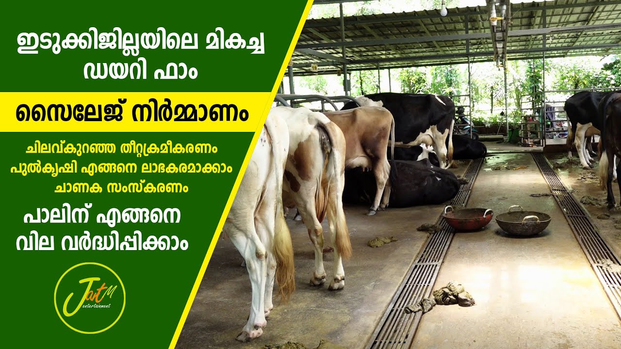 എല്ലാ തൊഴിലുകളും വിട്ട് ക്ഷീരകൃഷിയിലൂടെ മികച്ച വരുമാനമുണ്ടാക്കിയ കർഷകൻ I Makarakoythu
