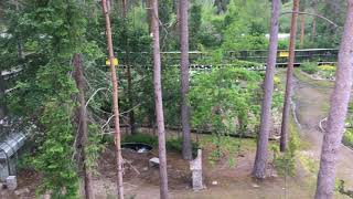 IMG 9551