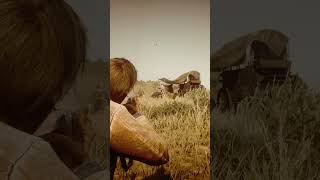 O'Driscoll Camp Raid - RDR2!  #rdr2 #rdrgameplay #arthurmorgan #gaming #rdr2hindi