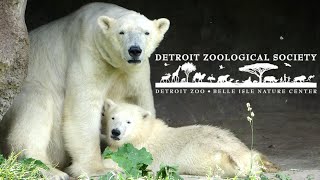 Detroit Zoo Tour & Review with The Legend