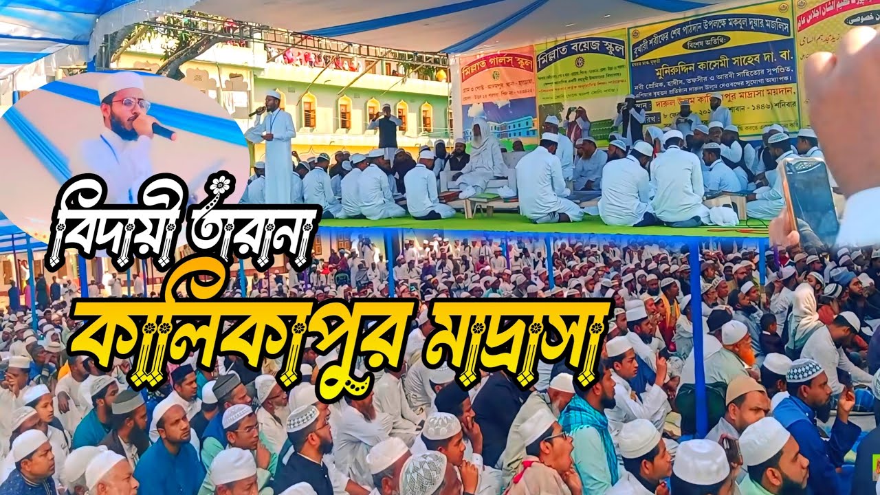 বিদায়ী তারানা | কালিকাপুর মাদ্রাসা বুখারী খতম ২০২৫ | Kalikapur Madrasa @Rasid4424