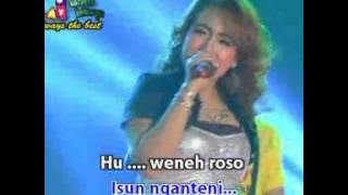 RENY FARIDA panjer kiling