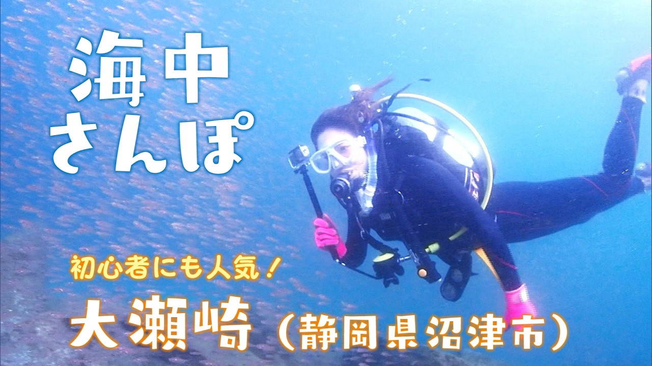 【初心者にも人気】ダイビングの聖地とも呼ばれる大瀬崎(静岡県沼津市)に潜ってみたら・・・秋ならではの魚たちとの出会いが!