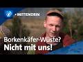 Altenau: Wie der Harz nach dem Bäumesterben wieder grün werden soll | tagesthemen mittendrin