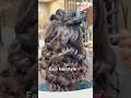Easy hairstyle💕 #goesviral #trendingshorts #shorts #hair #ashortaday #trending #ytshorts #yt #trend