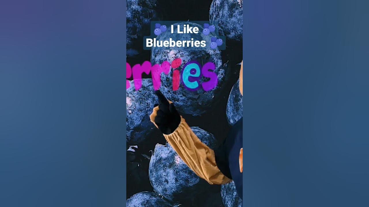 Kinny's Tunes For Learning | I like Blueberries 🫐| Blueberry Song for Kids | Kids Music | #kidsmusic