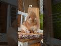 しりもち3種