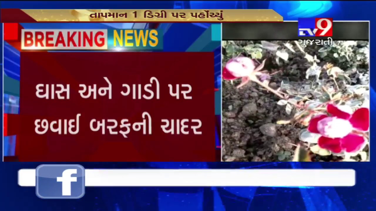 Rajasthan reels under intense cold; Mount Abu at minus 1°C- Tv9