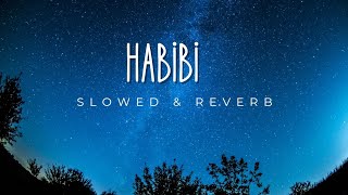 Dj Gimi-O x Habibi // slowed & reverb Perfect Edit Audio #slowlyworld #slowed #reverb