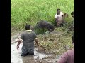 Wildlife Heroes Rescue Baby Elephant Trapped in Mud Pit | Elephant | Baby elephant