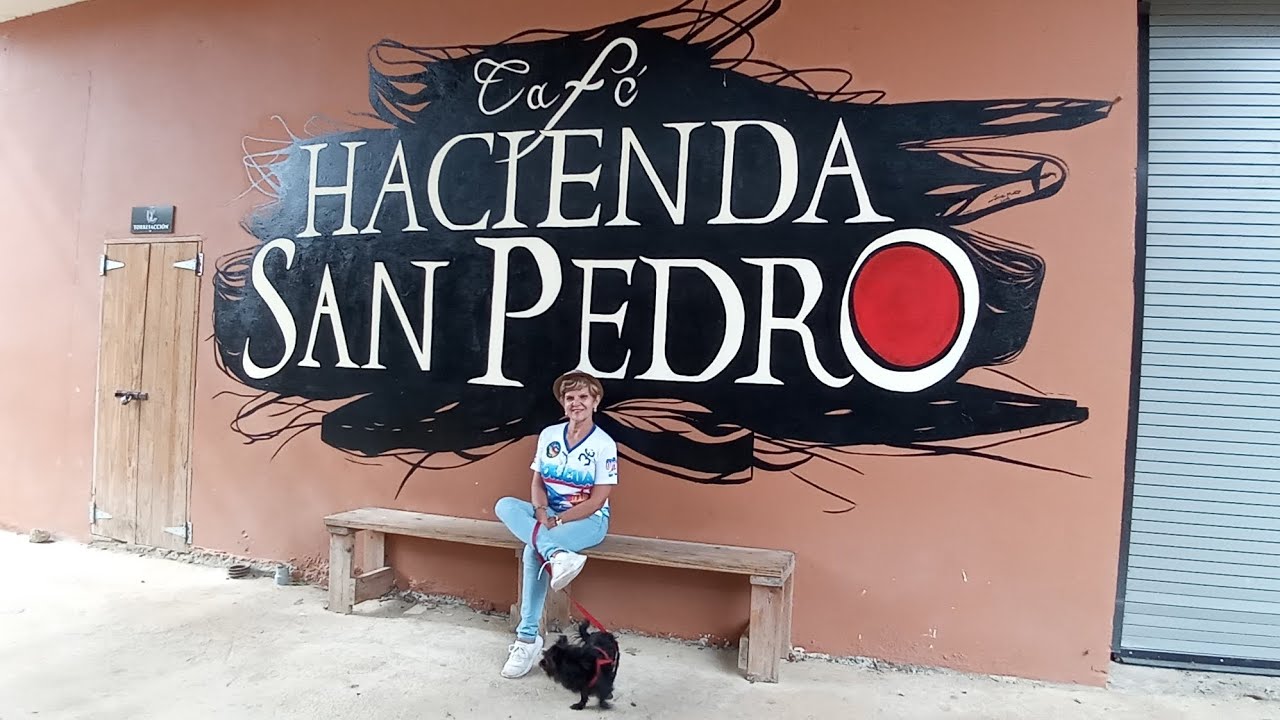 HACIENDA SAN PEDRO, JAYUYA