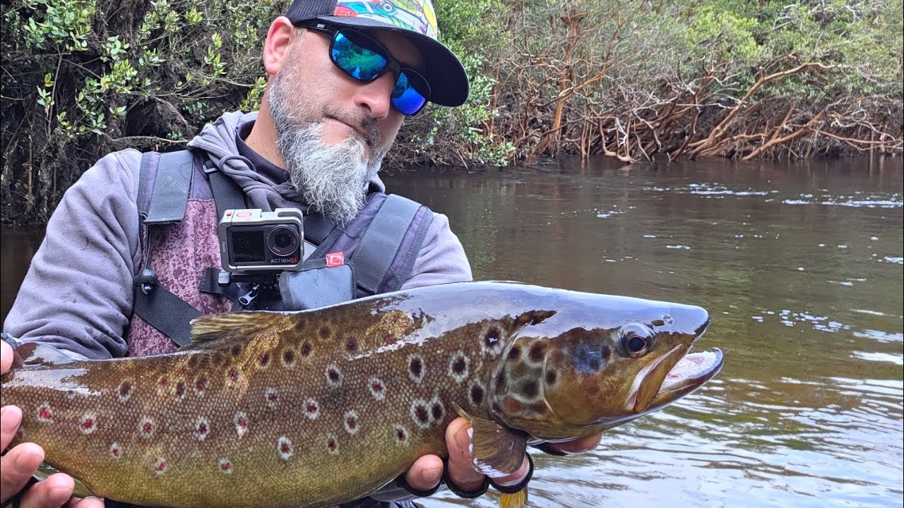 Inicio de temporada pesca de truchas 2025 -26 con un festín piques chiloé chile 