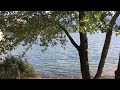 италия озеро Caldonazzo trentino дикие утки