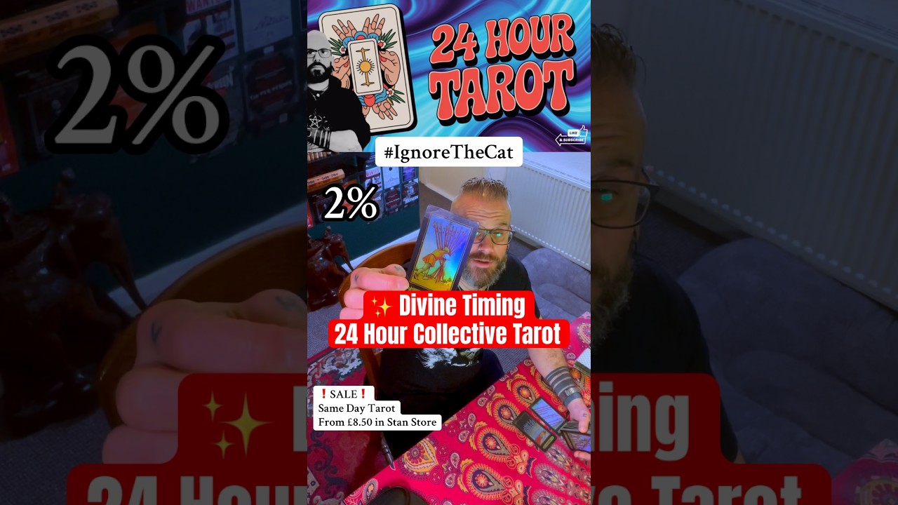 ✨ 24 Hour Collective Tarot Reading - DivineTiming Message