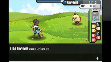 Droid Gaming Kingdom: EvoCreo - Part 3