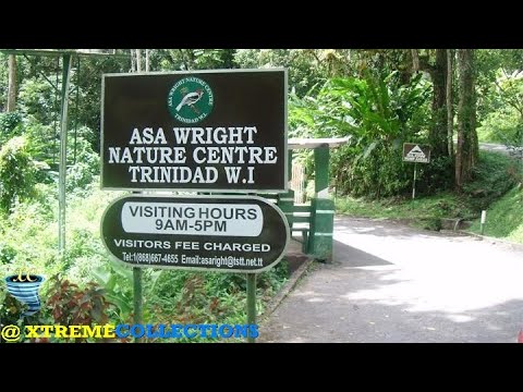 Asa Wright Nature Centre in Trinidad, Trinidad and Tobago - YouTube