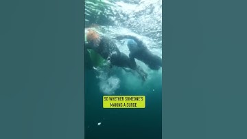 Sighting: Mastering Swimming In Open Water