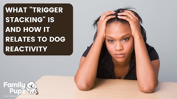 What "Trigger Stacking" Is And How It Relates To Dog Reactivity