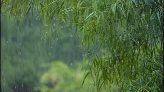 Chinese Music Accompanied by the Sounds of Rain and Thunder for Relaxation.
