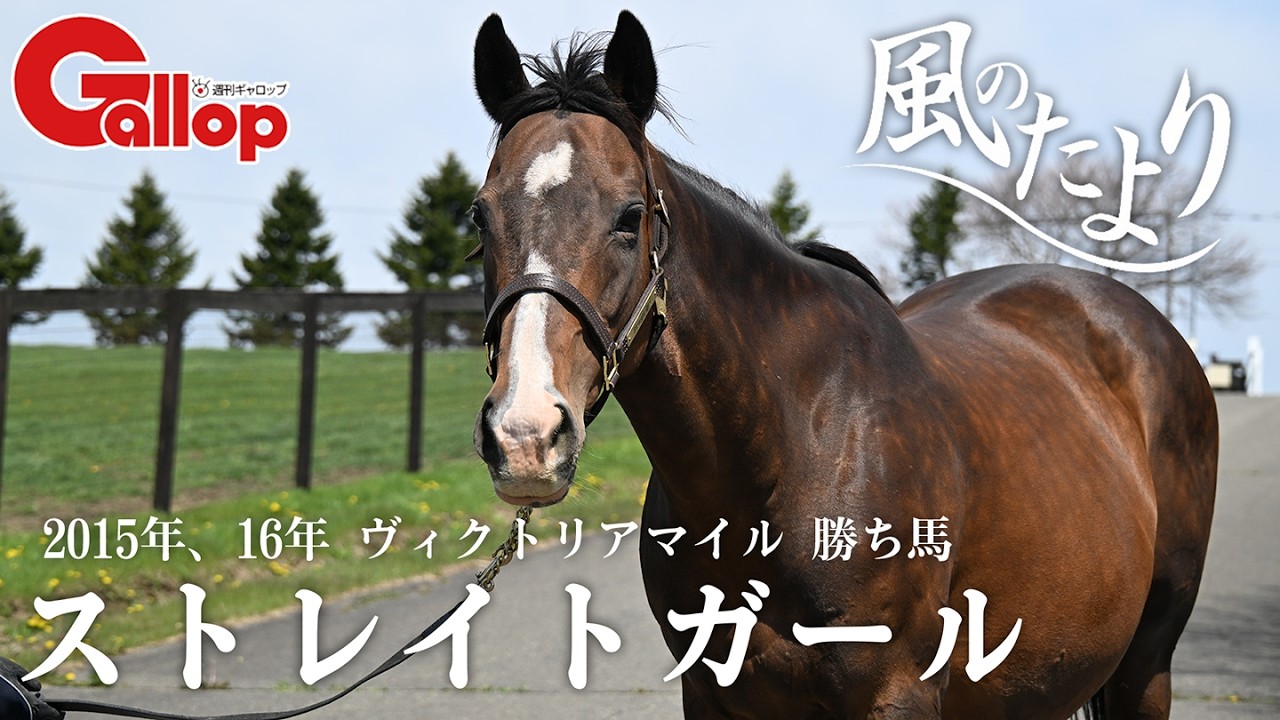 ストレイトガール 大器晩成のシンデレラは子出しも優秀【風のたより