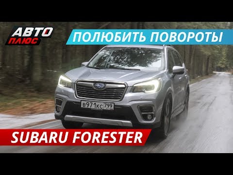 Чем отличается новый Subaru Forester SK? | Наши тесты