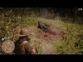 Red Dead Redemption 2: Panther Hunt