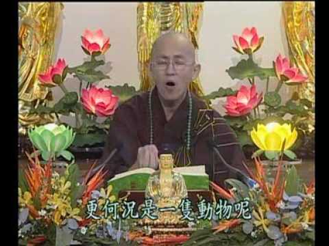 法宣法師 - 阿難問事佛吉凶經 第十一集 4 / 7
