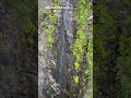 雷の滝