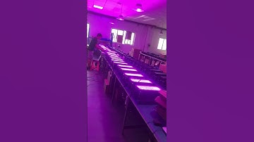 Mosun 200W DMX512 RGBW Floodlight - Wireless control