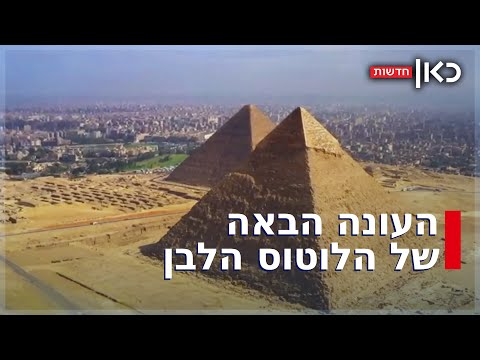 איפה תהיה העונה הבאה של הלוטוס הלבן 