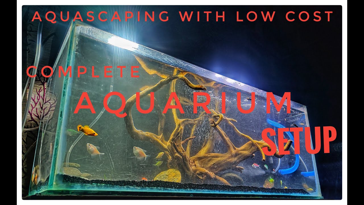 aquariumfishkannadaaquacultureAquascaping with Low Cost in Kannada,Old Fish Tank to New One