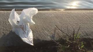 BrizaR - This one is for you