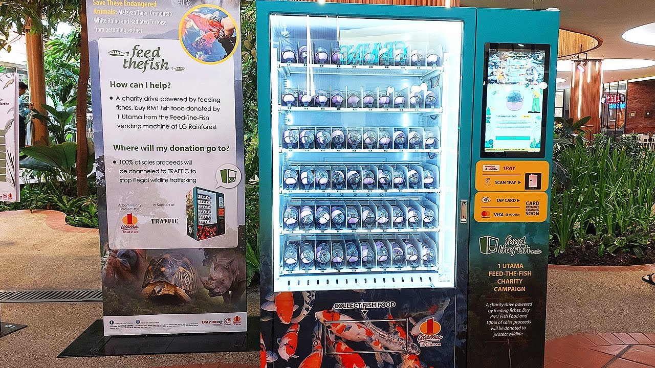 Malaysia Vending Machine Tour Fish Food Vending Machines YouTube