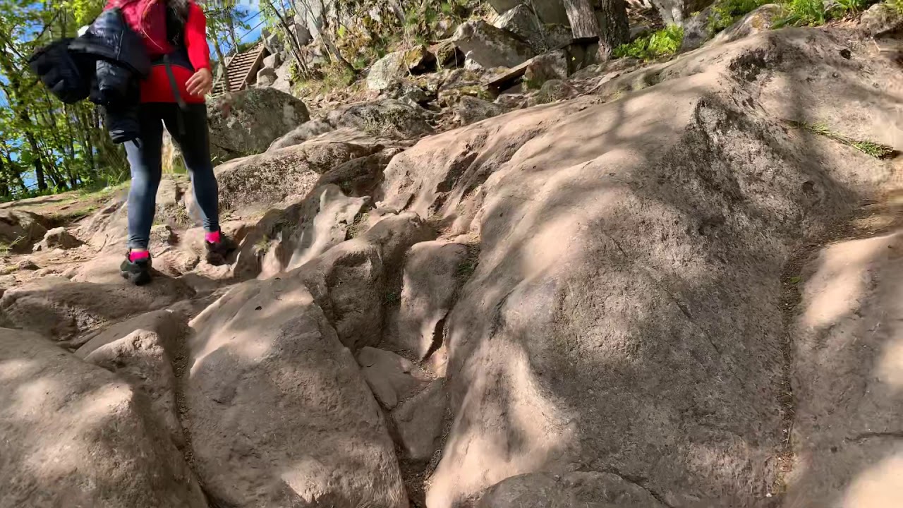 Up in the mountain uphil an hr by foot , Kolsås toppen , Norway