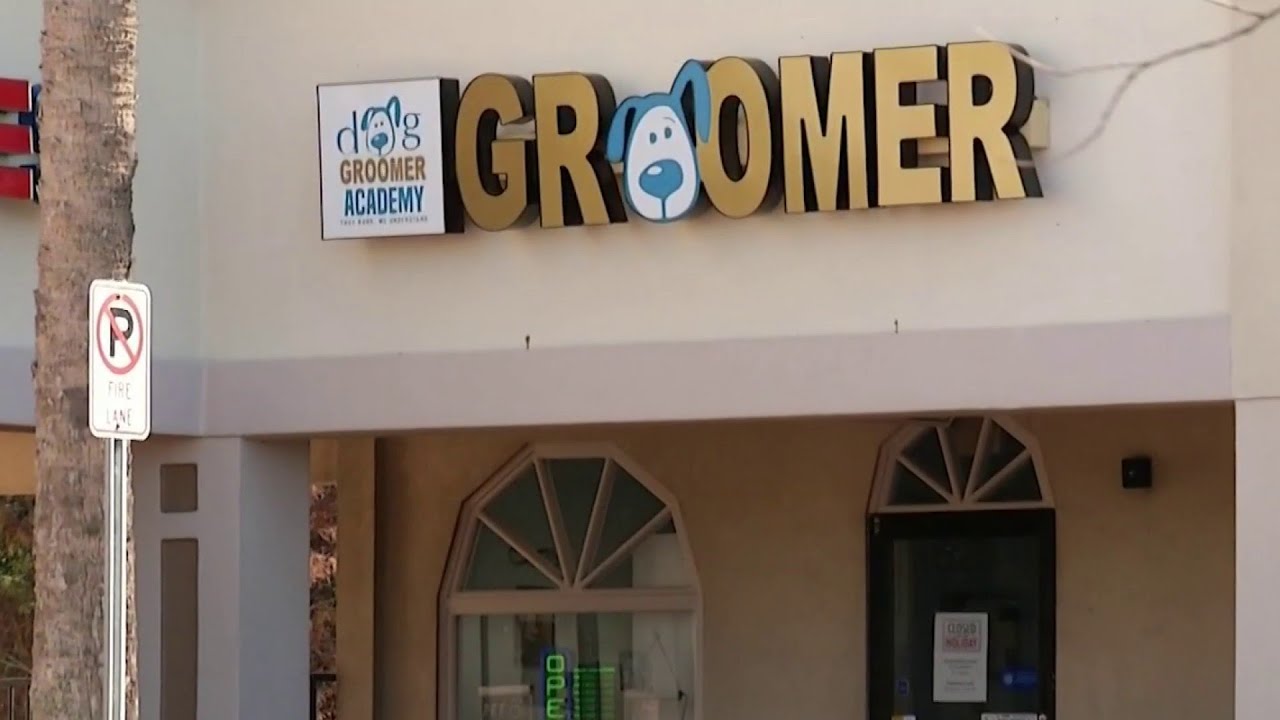 Local dog grooming school told to stop operations