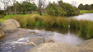 Two Minutes of Flowing Water