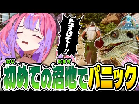 【Day3】小型肉食恐竜にわからせられるヴィヴィ【ホロライブ/切り抜き/綺々羅々ヴィヴィ/ ARK: Survival Ascended】