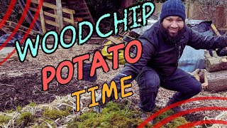 What's the Best Way to Plant Potatoes  Planting Potatoes in Woodchips