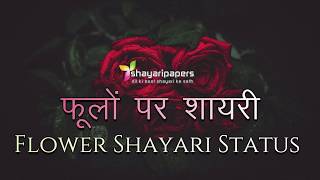 hindi shayari flower phool status