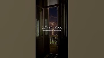 ﴿ يوَم يقَومُ الرّوح والمَلائِكه صفاً لا يتكلمُون ﴾ سوره النبإ، عبدالرحمن مسعد #ارح قلبك #قران كريم