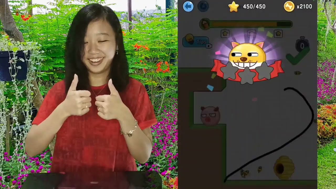 Save the Doge Level 36 37 38 39 40 Bintang 3