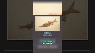 Exploring The Evidence The Global Flood And The Fossil Record -- Ken Ham