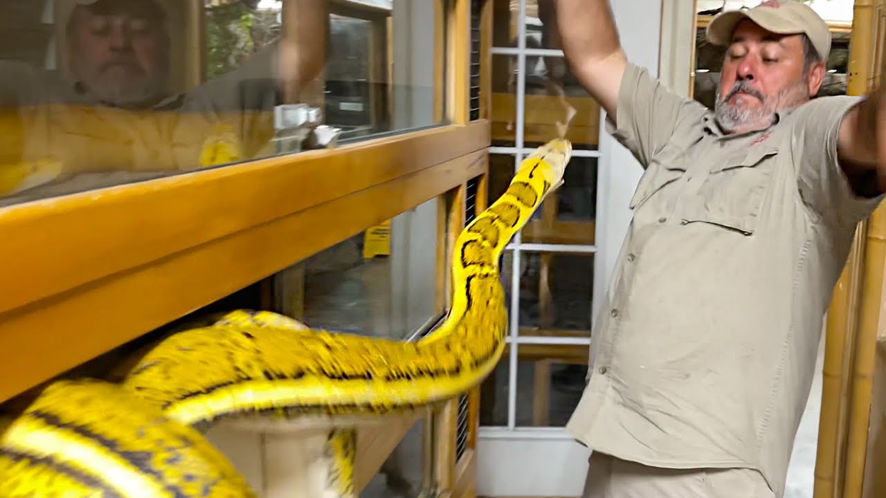 SNAKE STRIKES ME) ? EVERYTHING WENT WRONG? - YouTube