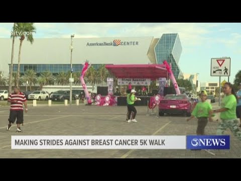 2019 Making Strides Against Breast Cancer 5K Walk