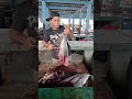 Skills filet baby tuna segar#pasarikan#tunafishcutting #fishcutting #seafood