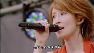 白いカイト -  My Little Lover with Bank Band LIVE