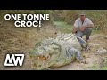 Matt Wright feeding his huge, ONE TONNE CROC called Tripod!