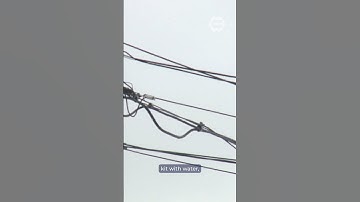 Hydro One warns of possible extended power outages ahead of winter storms across Ontario