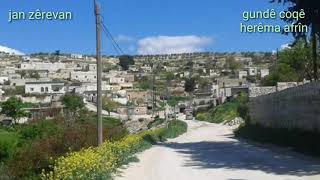 honermend Şiyar u Dijwar MIN DIL   GIRT herêma afrîn  Gundê coqê منطقه عفرين قريه جويق 🌹🌷♥️