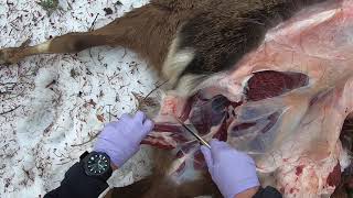 ブッシュクラフターで解体する